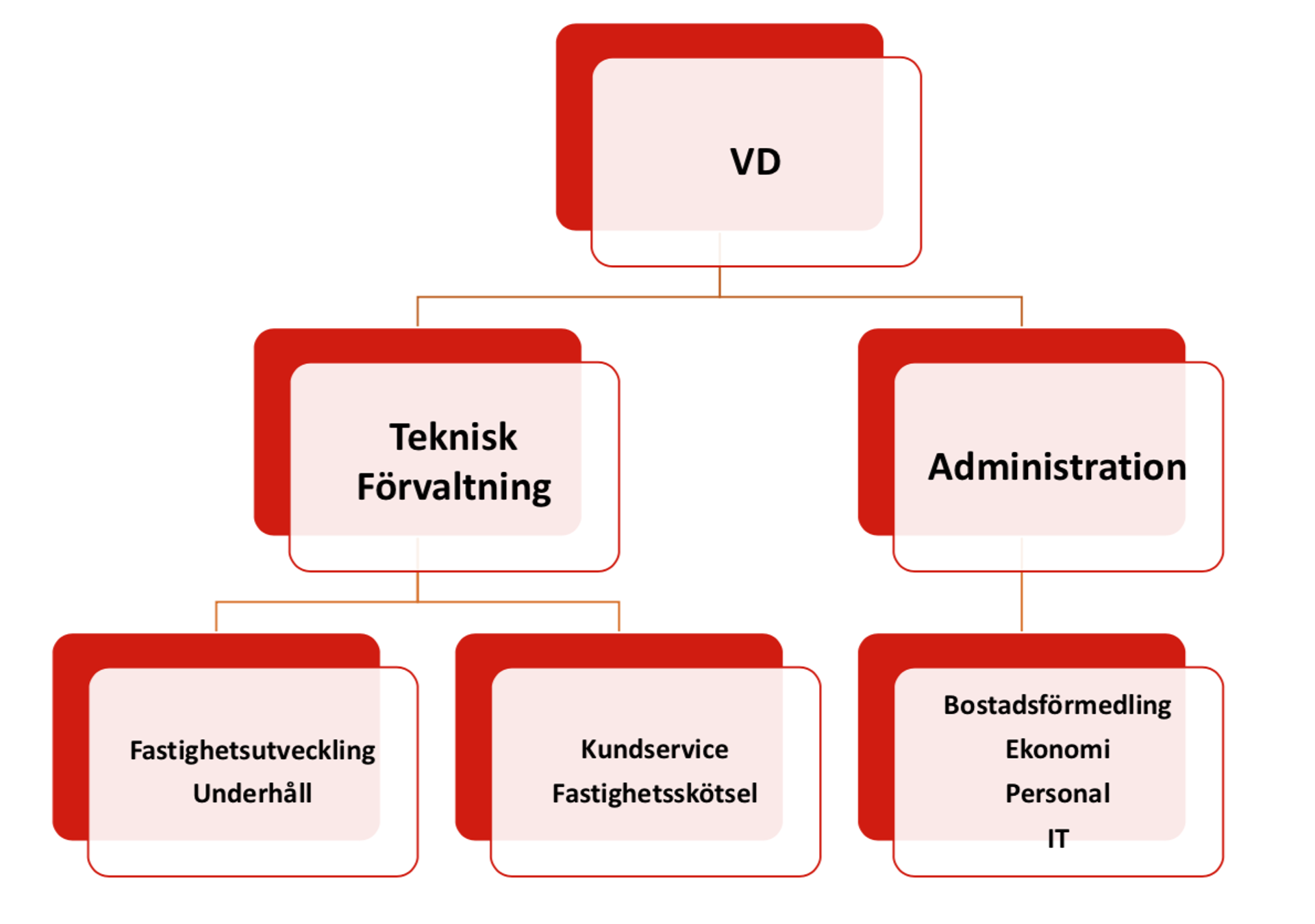 Organisationsschema